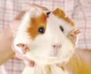 賽銭箱、設置します 御利益はあると･･･思う･･･w イメージ7