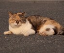 3日間　あなたの心の中を引き出します あなたの本当の望みに気付くと世界が変わります。 イメージ1