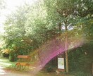 あなたの友達になります メンタル心理カウンセラーがどんなお話でも受け止めます！ イメージ3