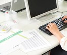 補助金｜事業化状況報告のチェック・壁打ちします 事業化状況報告について、チェック・整理・壁打ち支援を行います イメージ1