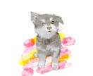 虹の橋を渡った【愛犬】を【イラスト】で甦らせます わんちゃんも【より可愛く♡より格好良く⭐︎】描きます イメージ3