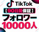 TikTokフォロワー500人増加します 【90日保証】幅広く拡散してフォロワー増加をサポート イメージ2
