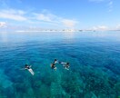 沖縄へ移住を考えている方へ。現地の生の声をお伝えします。 イメージ2