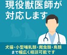 高齢ペットの介護や生活の悩みを一緒に考えます 日常ケアや生活改善の工夫を提案します イメージ8