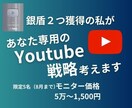 限定モニター価格：Youtubeコンサルをします 銀盾２つ獲得のYoutubeのプロがあなたのアドバイスします イメージ1