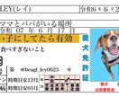 世界に一つだけの愛犬名刺、作ります 思わず配りたくなる、うちの子の特別な一枚 イメージ1
