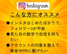 インスタに日本人フォロワーを100人増やします 【モニター価格】日本／匿名評価／安い／インスタ／拡散 イメージ8