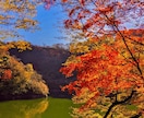 隠されている彼の気持ちを深層心理解読術で見抜きます 月光霊視で彼の本音を知りあなたの運命を望む未来へ導きます イメージ8