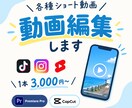 見たくなるショート動画作成します 動画編集をお手頃価格で見たくなる動画に仕上げます イメージ1