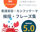 発表・報告【初めての看護実習】事例あります 【PDF・スマホOK】マネして、●●を埋めて、話すだけ♪ イメージ1