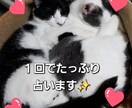彼の気持ち出会いの時期、丁寧にたっぷり占います 恋愛に限らずその他全体運も占います。なんでもお話しください イメージ1