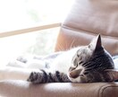 おやすみの電話♪今日あったことをお聞きします 寝る前のJD彼女とお電話しませんか？ イメージ4