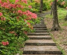 写真の色味・明るさを自然に整えます 自然な色味と明るさで写真を整えます イメージ8