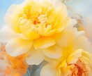 不倫＊潜在意識＊未来//タロットと霊視で占います ♥SNSにて３択リーディング更新中♥ココナラはじめました！ イメージ7