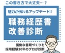 職務経歴書の改善診断します 採用者視点で改善点を指摘します イメージ1