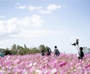 フォトレタッチ代行します 人の写り込みを消したり肌を綺麗にしたりします！ イメージ1