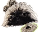 現役漫画家がペットの似顔絵を厚塗りで描きます 犬、猫、魚、小動物…動物ならなんでもOKです◎！ イメージ6