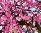 人には言いにくいあなたの自慢話とことん聞きます 自慢したいけど最適な知り合いがいない…そんな時ありますよね イメージ7