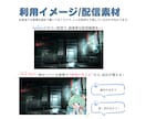 商用ok! 感情が見えるSDイラストを作ります 表情豊かなキャラクターで配信・SNSの反応を変えませんか？ イメージ2