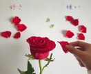 新しい恋に進むべき？等YES/NOで即日鑑定します １人で悩まないで☆回答+簡単な理由+アドバイス！即日鑑定♡ イメージ1