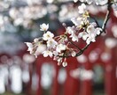 特別な大々祈禱であらゆる悪因を解除して開運させます 他の誰にもできない幽玄なる特別祈禱（音声データのご提供） イメージ5