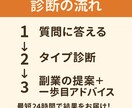 あなたに合った副業タイプを即日判定します 副業迷子を救う実践型タイプ診断です イメージ2