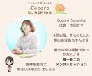 個性診断し、まずは、自分を知ることからはじめます メンタルトレーナー4児の母がさまざまな視点でお話しします。 イメージ1