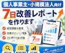 個人事業主・小規模法人の7日改善レポートを作ります 経営課題を整理し、今すぐ動ける7日間の改善計画をご提案 イメージ1