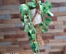 ミニチュア観葉植物販売します ドールハウスサイズのハンギングミニチュアポトス イメージ4