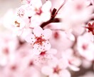 ご自分のお名前に宿る真実の使命を伝えます ご自身の強みを知ることで魅力的に♡魂のエネルギー感じましょう イメージ6
