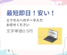 EXCELに入力代行します 【最短即日】文字単価0.5円で承ります イメージ1
