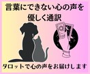 ペットの気持ちをタロットで優しく読み解きます タロットが繋ぐ家族の絆｜言葉にできない心の声を優しく通訳 イメージ5