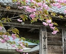 世界遺産に輝く中尊寺金色堂の写真を提供します 世界遺産に輝く中尊寺金色堂と境内の風景 イメージ1