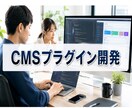 WordPressのプラグイン開発を致します CMS（WordPress）で動く専用のプラグインの開発 イメージ1