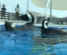 たわいもない話聞きます 笑顔を提供できるよう頑張ります！ イメージ1
