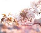 すぐできる！あなたの知らない得意技を視ます ソウルブルーム✨魂が開花する✨購入特典付き！ イメージ3