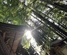 悩み相談、愚痴、話し相手いたします 話しやすいと言われますから、何でもお気軽にどうぞ！ イメージ2