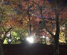 どんなご相談でも対応させていただきます 考え方一つで世界は変わる^ ^！！ イメージ4