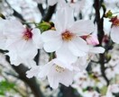 お子様のママの相談お話し相手をします 3人のシンママです。どんなお話でも大丈夫です イメージ1