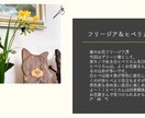 花束をもらった！お花屋さんの切り花名前答えます 元花屋＊花って調べようがない…お答えします！ イメージ2