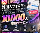 Instagramの外国人フォロワーを増やします 最大1万人まで対応！高品質なフォロワー増加をサポート イメージ1