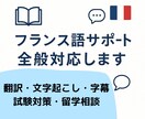 慶應生がフランス語まわりなんでも受付けます 【翻訳からレッスン、資格取得まで】 イメージ1