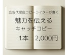 広告代理店コピーライターが一言紹介文を作成します 商品の魅力をターゲットに理解させるコピー案を作成します イメージ1