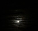 自分が撮った好きな写真を載せます 誰かの目に止まって一緒に共感して貰えたら嬉しいです イメージ6