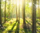 恋愛で浮かぶ疑問、直感タロットで占います どうなる？どう思っている？恋愛全般・質問一つビシッと鑑定！ イメージ6