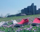 実体験をもとに恋愛相談アドバイスします "このまま付き合ってていいの？"一緒に解決策を探しましょう！ イメージ2