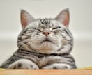 だいたいなんでも受け止めます 誰かと話したい。そんな時にどうぞ雑談、愚痴、相談などなど イメージ6