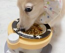愛犬の声を聞いた手作りごはんをお伝えします 手作り初心者さんでも簡単にできる栄養満点レシピ イメージ3