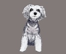 ミニチュアシュナウザーの似顔絵を描きます ミニシュナと暮らす犬絵師が、写真から似顔絵を描きます イメージ8