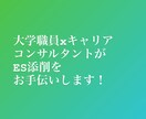 大学生・既卒者の書類・ES添削受け付けます 銀行航空会社大学職員を経験！国家資格キャリアコンサルタント イメージ1